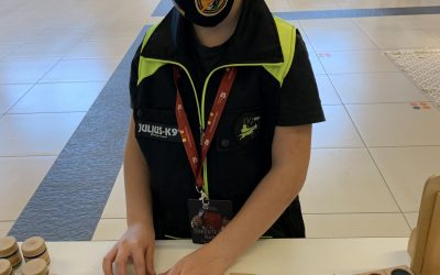 Önkéntesség Napja A Vértes Agorájában